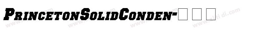 PrincetonSolidConden字体转换