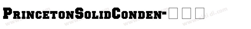 PrincetonSolidConden字体转换