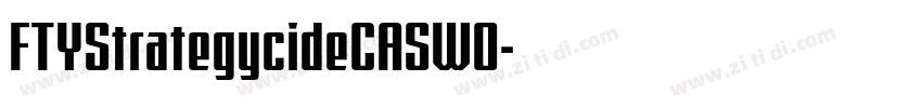 FTYStrategycideCASW0字体转换 FTYStrategycideCASW0字体转换