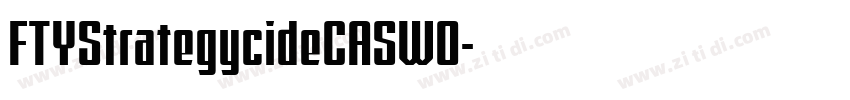 FTYStrategycideCASW0字体转换 FTYStrategycideCASW0字体转换