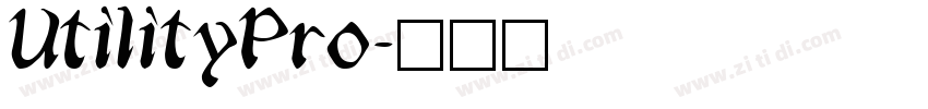 UtilityPro字体转换