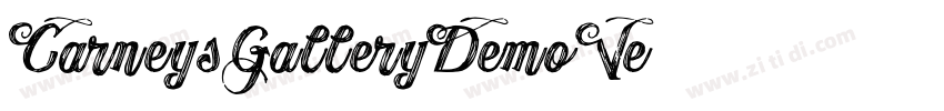 CarneysGalleryDemoVe字体转换