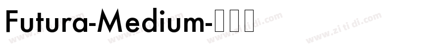 Futura-Medium字体转换