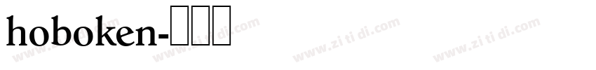 hoboken字体转换