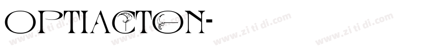 OPTIActon字体转换