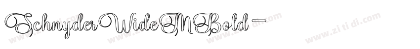 SchnyderWideMBold字体转换 SchnyderWideMBold字体转换