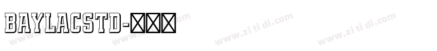 BaylacStd字体转换