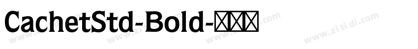 CachetStd-Bold字体转换