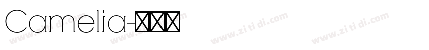 Camelia字体转换