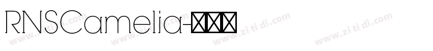 RNSCamelia字体转换
