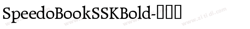 SpeedoBookSSKBold字体转换