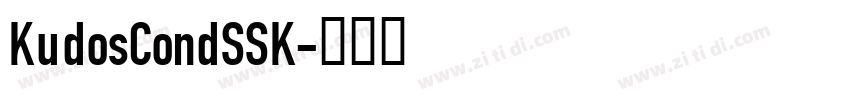 KudosCondSSK字体转换