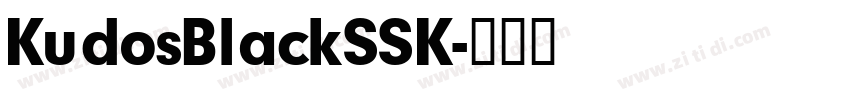 KudosBlackSSK字体转换
