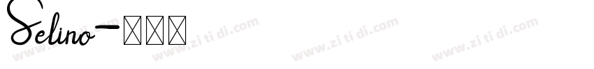 Selino字体转换