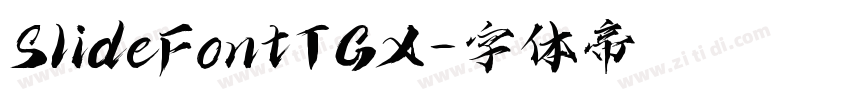 SlideFontTGX字体转换