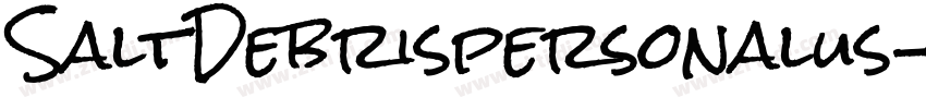 SaltDebrispersonalus字体转换