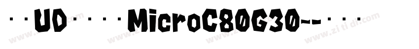 文鼎UD晶熙黑体MicroC80G30_字体转换