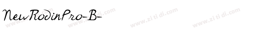 NewRodinPro-B字体转换