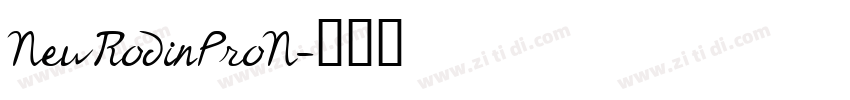 NewRodinProN字体转换