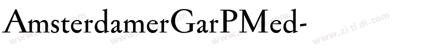 AmsterdamerGarPMed字体转换