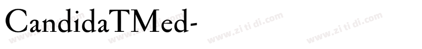 CandidaTMed字体转换