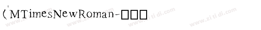 (MTimesNewRoman字体转换