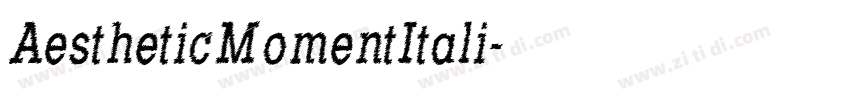 AestheticMomentItali字体转换