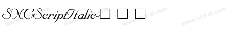 SNCScriptItalic字体转换