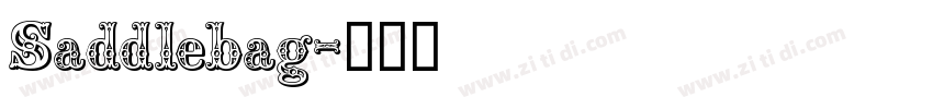 Saddlebag字体转换