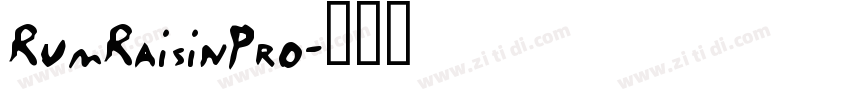 RumRaisinPro字体转换
