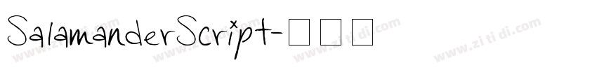 SalamanderScript字体转换