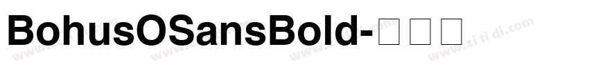 BohusOSansBold字体转换