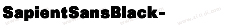 SapientSansBlack字体转换