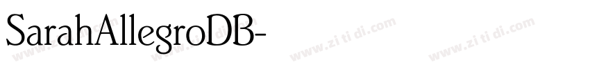 SarahAllegroDB字体转换