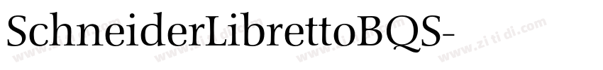 SchneiderLibrettoBQS字体转换