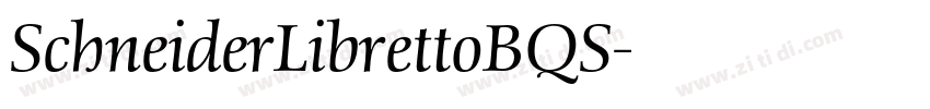 SchneiderLibrettoBQS字体转换