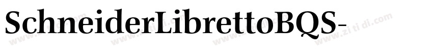 SchneiderLibrettoBQS字体转换