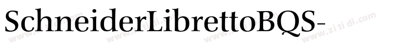 SchneiderLibrettoBQS字体转换