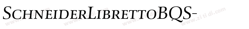 SchneiderLibrettoBQS字体转换