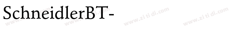 SchneidlerBT字体转换