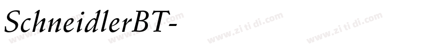 SchneidlerBT字体转换