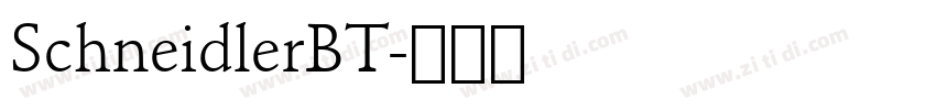 SchneidlerBT字体转换