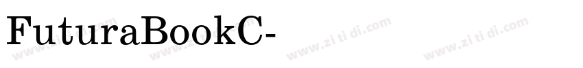 FuturaBookC字体转换