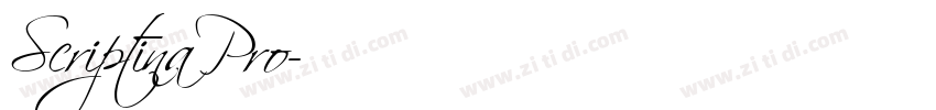 ScriptinaPro字体转换