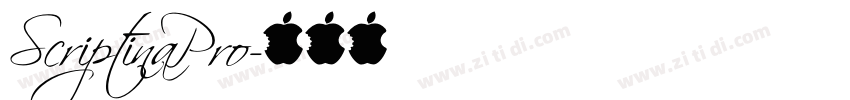 ScriptinaPro字体转换