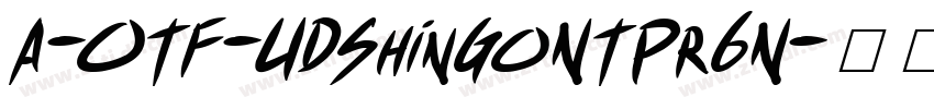 A-OTF-UDShinGoNTPr6N字体转换