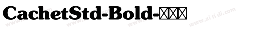 CachetStd-Bold字体转换