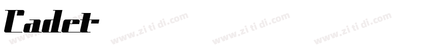 Cadet字体转换