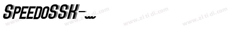 SpeedoSSK字体转换