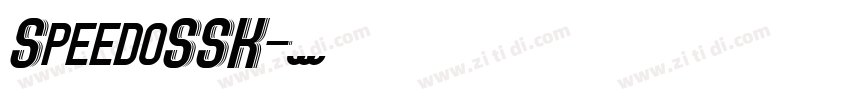 SpeedoSSK字体转换
